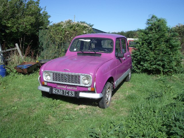 purple_renault_986.jpg