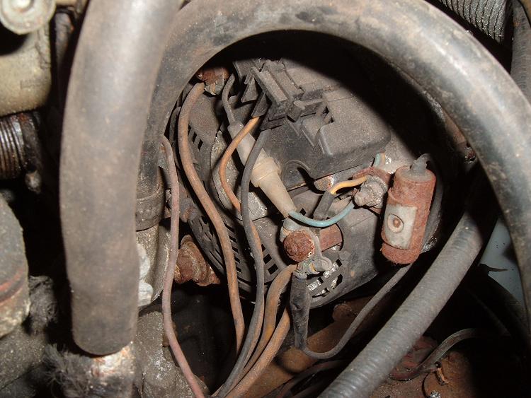 gordini-alternator.jpg