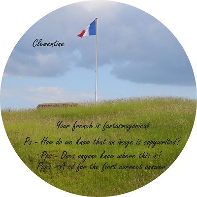 french flag 1.jpg