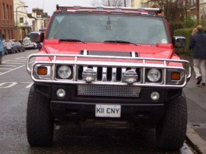 CIMG2307 small.jpg