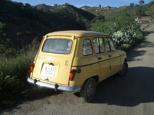 yellow r4 rear.JPG
