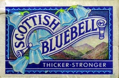 bluebell 1.jpg