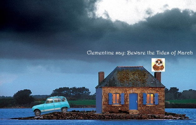 clem 3.jpg