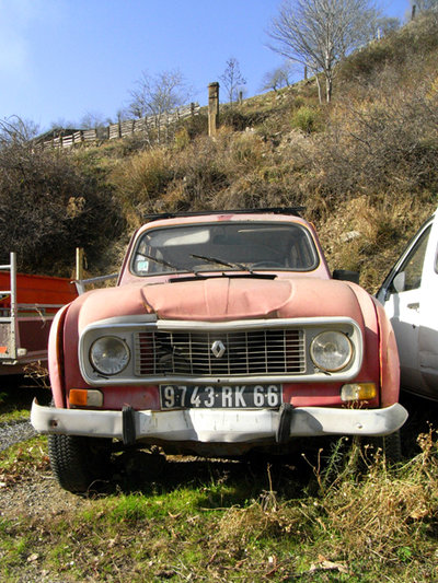 pink quatrelle b.jpg