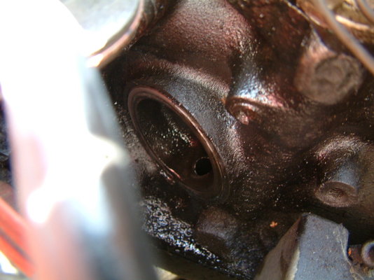 DSCF0124.JPG