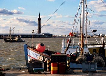 grimsby2.jpg