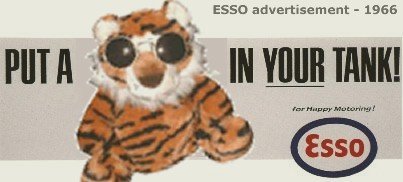 tiger.jpg