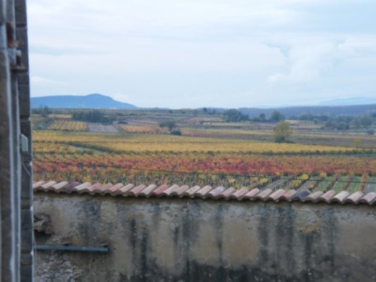 view.jpg