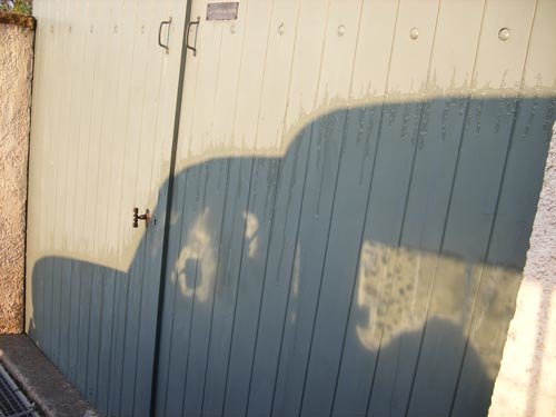 silhouette-R4.jpg