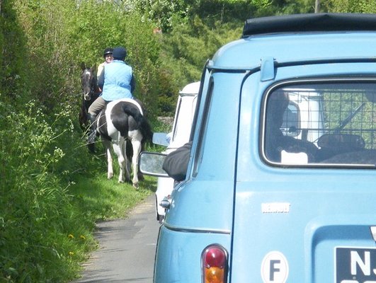 horses.jpg horses.jpg