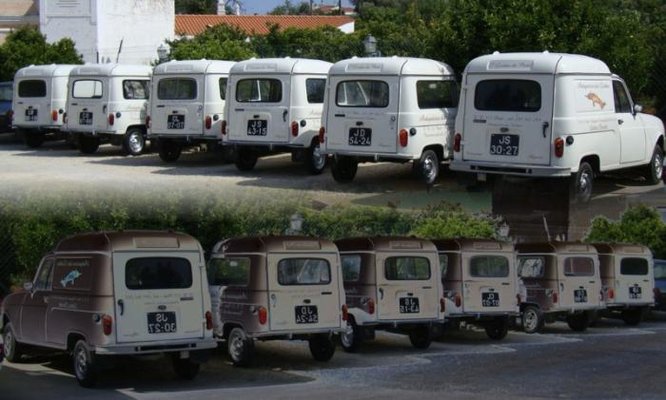 A gaggle of e.jpg
