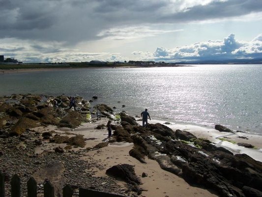100_1902.jpg