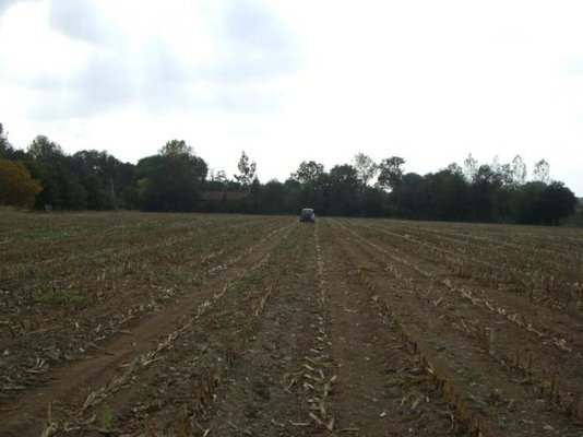 CIMG4334 e.jpg