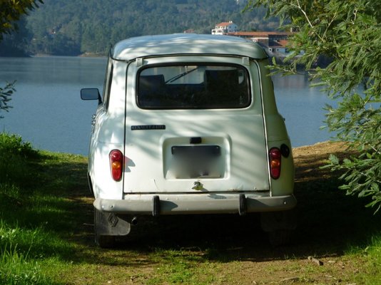 Renault @ the lakes.jpg