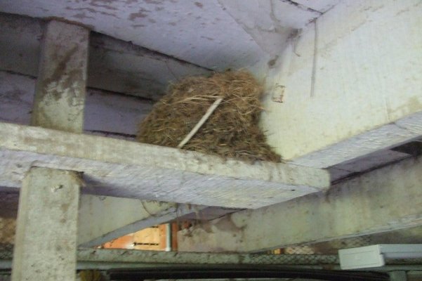 DSCF6613.JPG