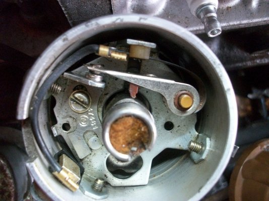 IMGP1204.JPG