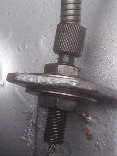 image.jpeg
