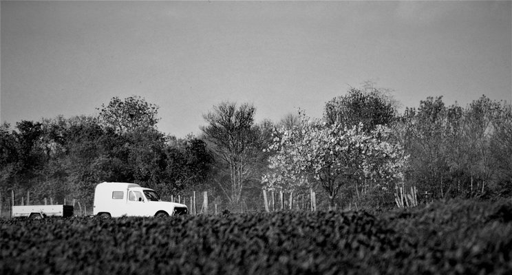 PICT0012 (31).JPG