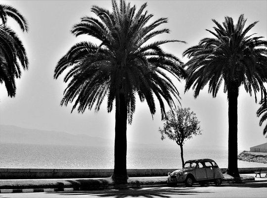 PICT0007 (45).JPG
