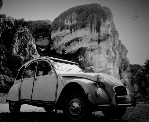 PICT0010 (41).JPG