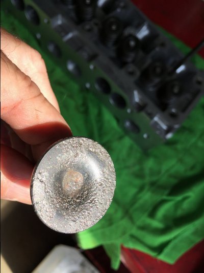 IMG_2716.JPG IMG_2716.JPG