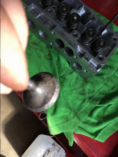 IMG_2717.JPG IMG_2717.JPG