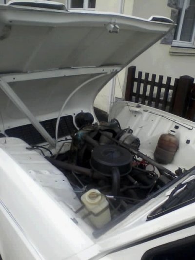 image3.JPG