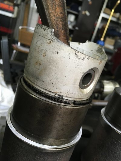 1FD916AF-44F1-4738-963B-76859D33F8BA.jpeg 1FD916AF-44F1-4738-963B-76859D33F8BA.jpeg