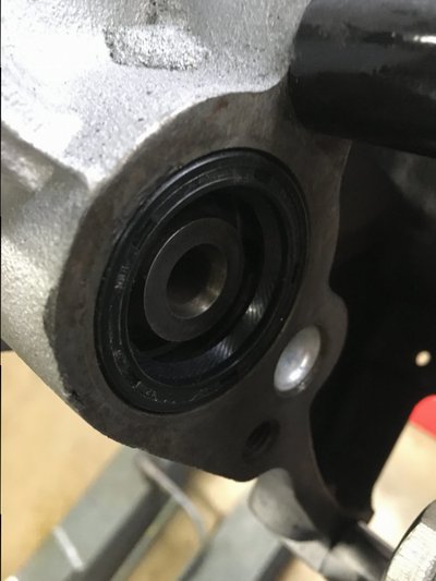 71FE74FC-BCEB-40C1-9C6C-625543620A5A.jpeg 71FE74FC-BCEB-40C1-9C6C-625543620A5A.jpeg