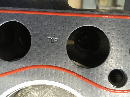 7ED97DE7-DFE4-4847-BD66-9503D3EAC254.jpeg 7ED97DE7-DFE4-4847-BD66-9503D3EAC254.jpeg