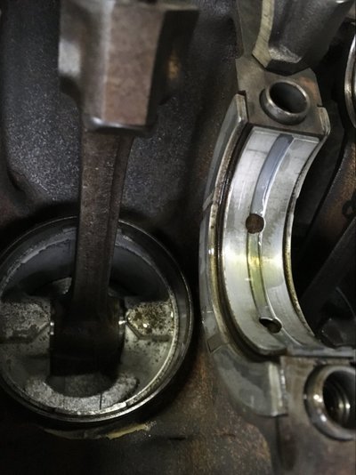 0B1FC9CD-21CF-4ED3-AA70-0DDE1BE611E9.jpeg 0B1FC9CD-21CF-4ED3-AA70-0DDE1BE611E9.jpeg