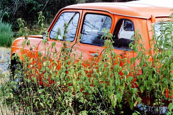 PICT0008 (59).JPG
