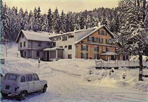Snow.jpg