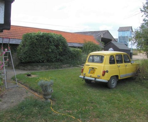 ermintrude-hedge.jpg