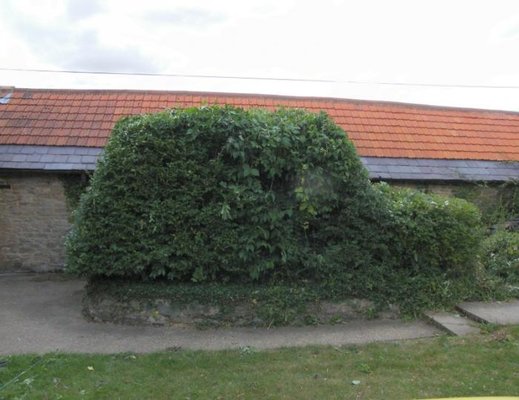 r4-hedge.jpg