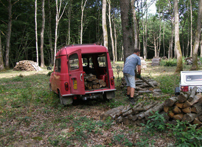 Forest2.jpg