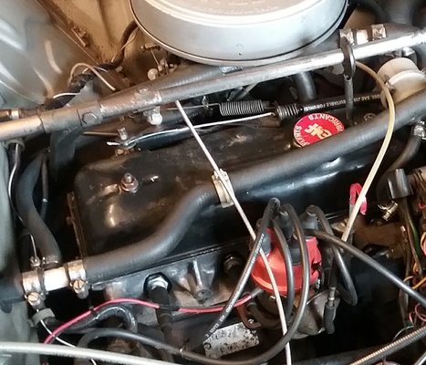 20180801_105743.jpg