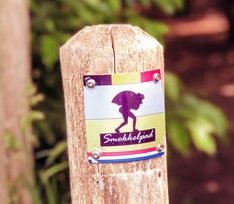 Foto-28-05-18-13-01-10.jpg