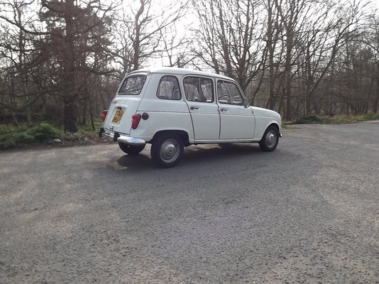 DSCF1574.JPG
