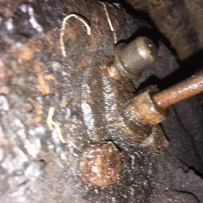 RENAULT 3.jpg RENAULT 3.jpg