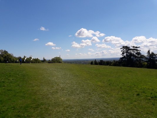 20190512_120330.jpg