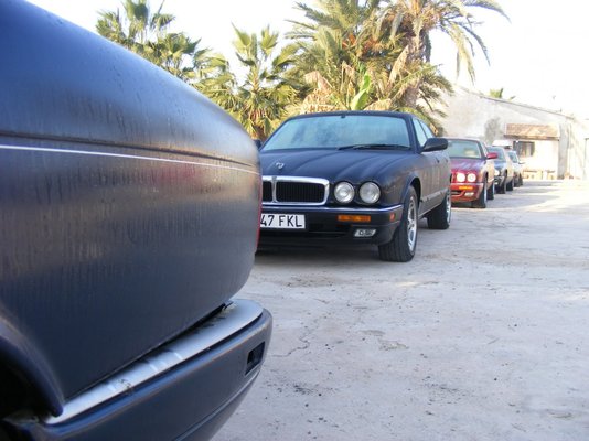 DSCF5172.JPG