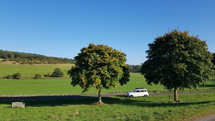 20190918_164702.jpg