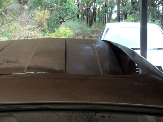 sunroof-2-web.jpg