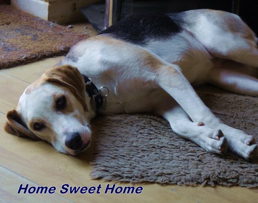 home sweet home.JPG