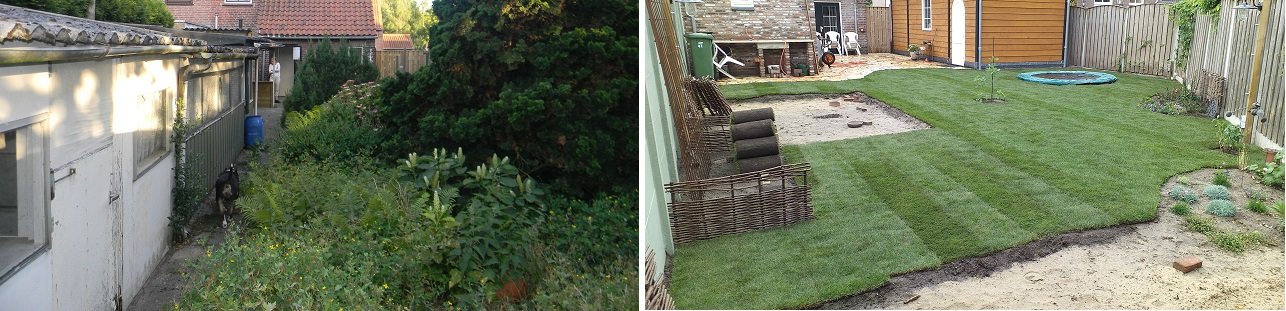 BeforeAfter02.jpg
