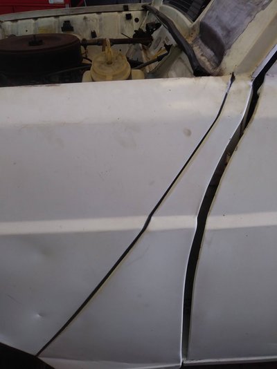 20200807_103441.jpg
