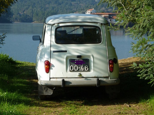 RENAULT REAR.jpeg