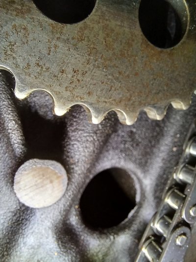 20211110_194154.jpg