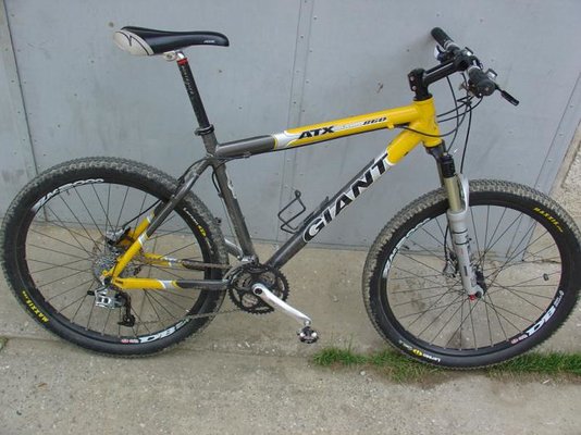 right-2010R.jpg